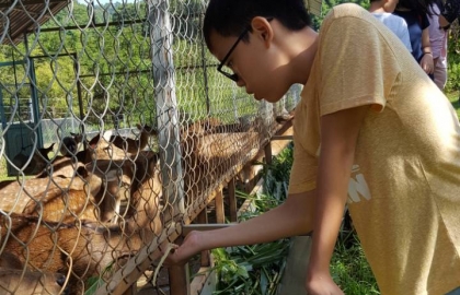 Tham quan khu du lich “Madagui”